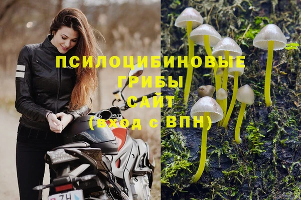 экстази Алексин