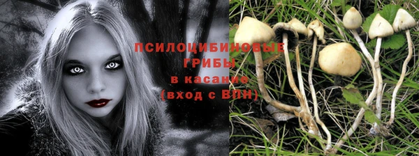 mix Абинск