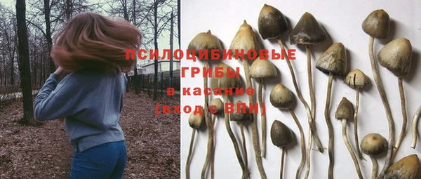 COCAINE Медвежьегорск
