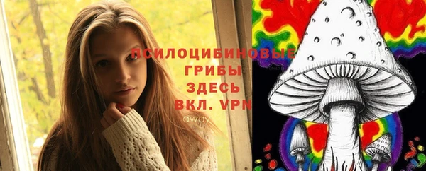 a pvp Алзамай